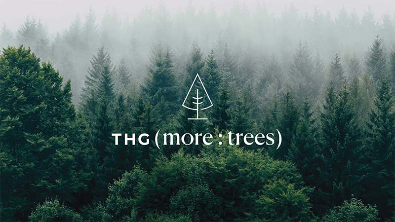 more-trees 3